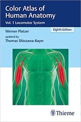 Platzer Color Atlas of Human Anatomy Volime 1 Locomotor System 8th Edition 2022