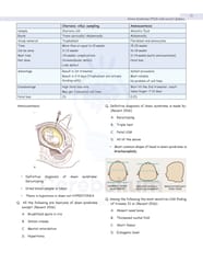 Pediatrics Cerebellum Notes