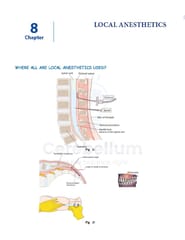 Anesthesia Cerebellum Notes