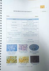 Microbiology Rapid Revision 6.5 Marrow Notes