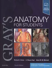 Grays Anatomy for Students 4th Edition 2019 by Richard Drake