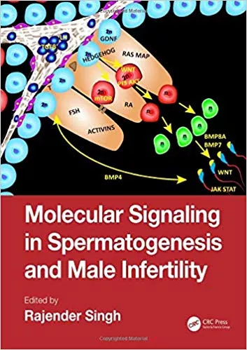 Molecular Signaling in Spermatogenesis and Male Infertility 2019 By Rajender Singh