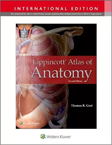 Lippincott Atlas of Anatomy 2nd Edition 2020 By Thomas R. Gest