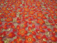 Blooms and leaves long and short embroidered heavy work netted fabric