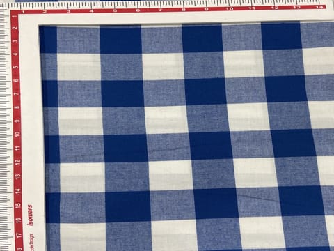Blue and White Yarn Dyed Cotton Check Flannel Fabric