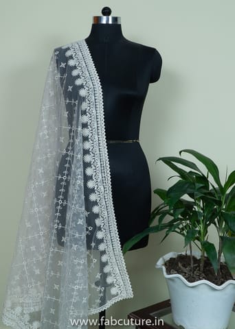 White Dyeble Net Embroidered Dupatta