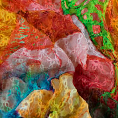 Multicolor Georgette Digital Print