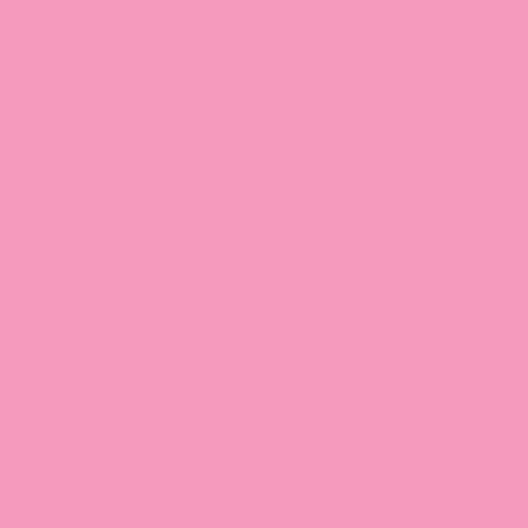 Pink Color Pure Silk Organza