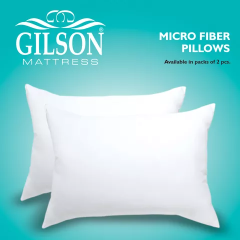 Gilson Pack Of 2  Micro Fiber Pillow (16x24)-White