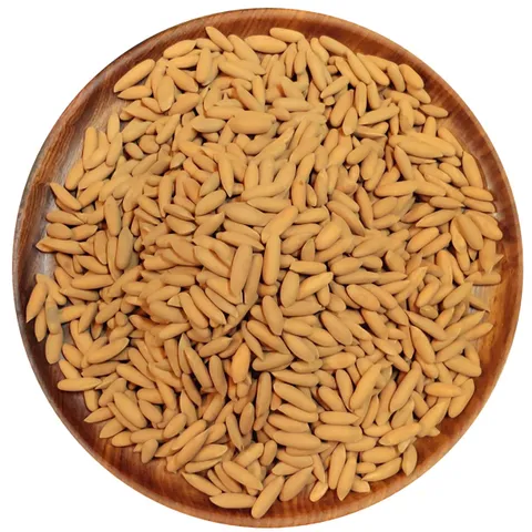Pine Nuts (Premium, With Shell) Pine Nuts (Premium, With Shell)