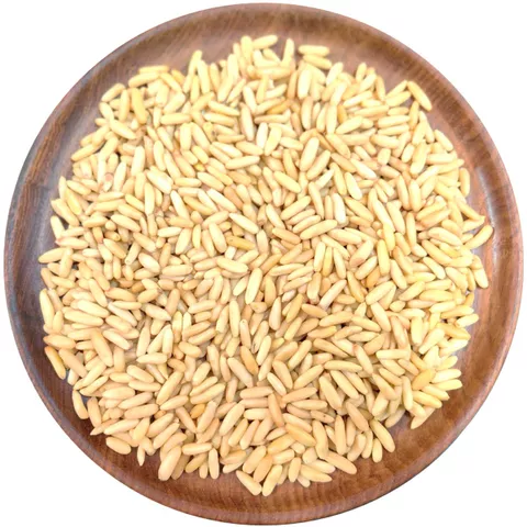 Pine Nut Giri (Premium) Pine Nut Giri (Premium)