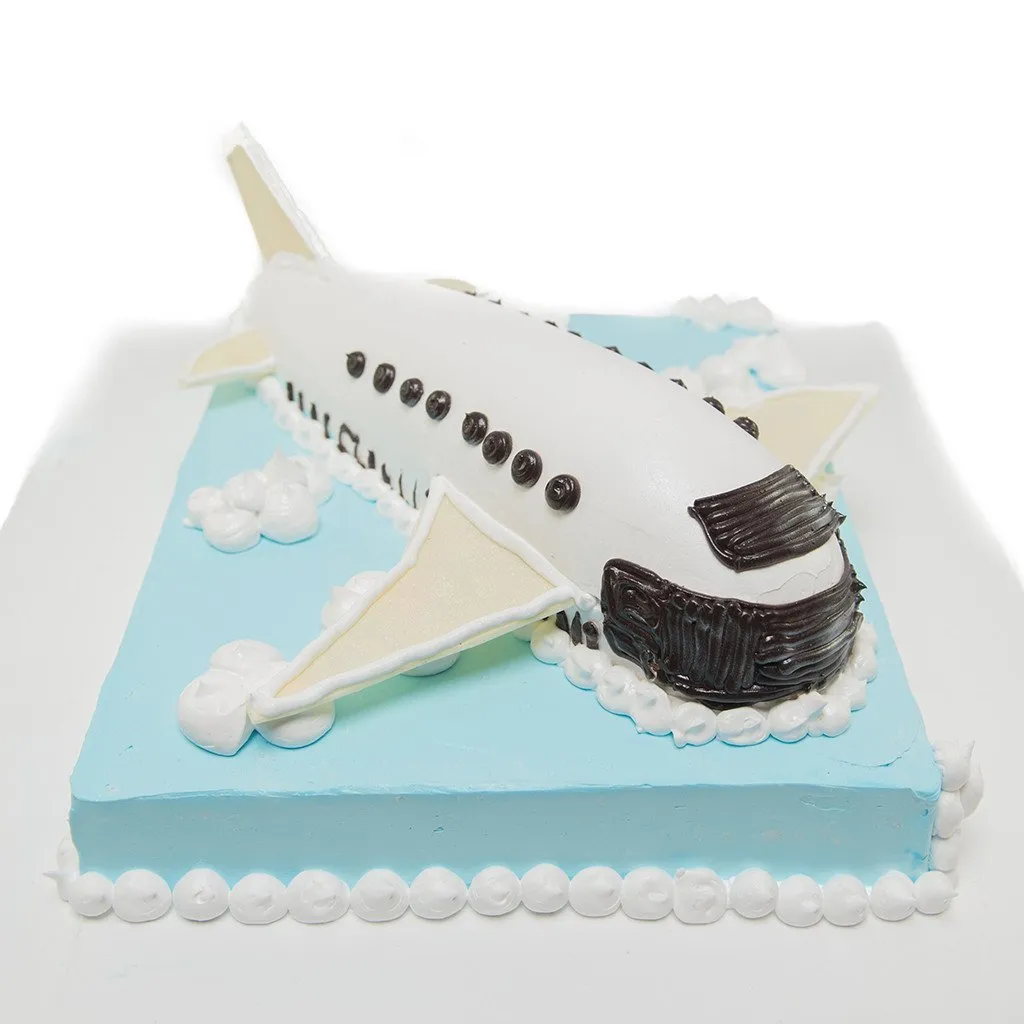 Fly in the sky - Aeroplane cake