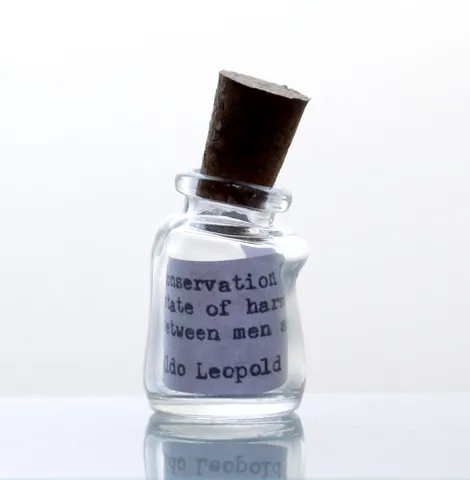 Mini Wonky Message in Bottle - BE GREEN