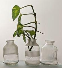 Handy Bottle Planters - Set of 3