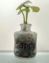 Wonky Bottle Planter SOIL with Plant - Custom Name