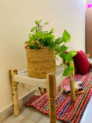 Eco-friendly pure jute planters with handles from Habere India/ Planters online for using as indoor plant pots or basket planters