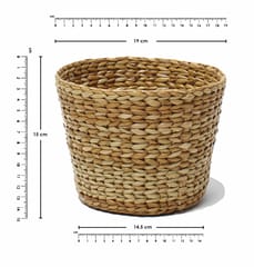HabereIndia - Eco Friendly planters/Fruit and Vegetable Basket Planters (Dry Grass)