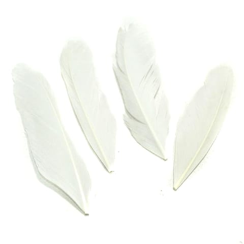 80+ Premium Jewellery Making Feathers White
