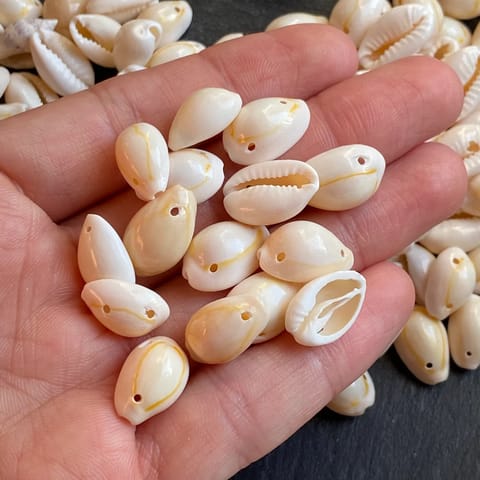 50 Pcs, 12-15mm Drilled Two Hole Sea Shell Cowrie Cowry Beads White