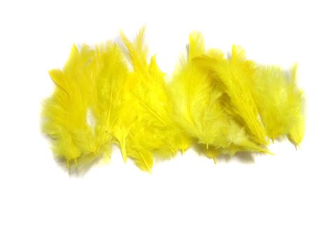 100 Jewellery Making Feather Yellow