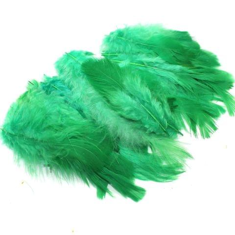 100 Jewellery Making Feather Parrot Green
