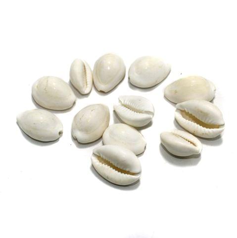 20 Pcs, 15-20mm Cowrie Shell Beads White Without Hole