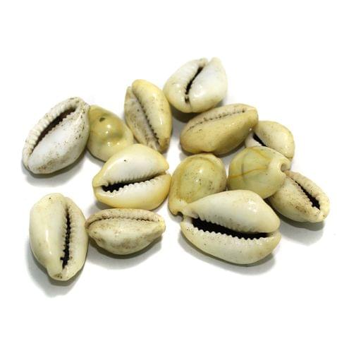 20 Pcs, 15-22mm Cowrie Shell Beads Natural Tone Without Hole