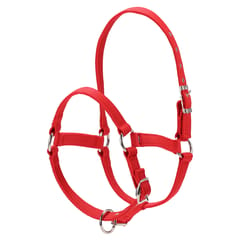 6MM Thickened Horse Head Collar Adjustable Safety Halter - L