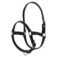 6MM Thickened Horse Head Collar Adjustable Safety Halter - M