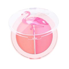 2 Colors Natural Face Blush Fine Powder Easy to Wear Blusher Palette