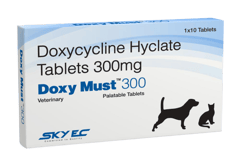 SkyEc Doxy Must 300mg - 10 Tablets