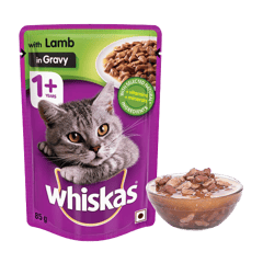 Whiskas With 'Lamb In Gravy' Pouch -(Pack of 3 ) - 85 gm Each - Adult