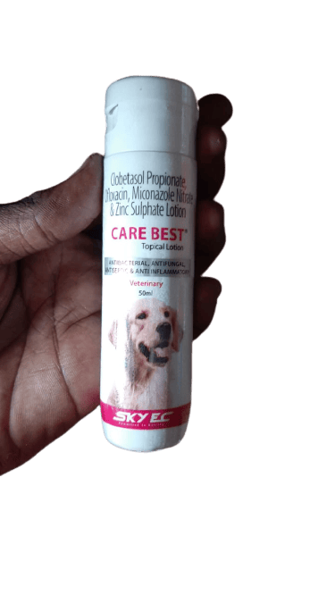 Antibiotic lotion hotsell for dogs