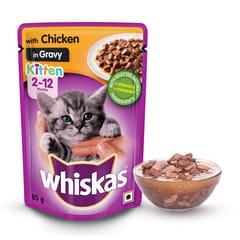 Whiskas Kitten (2-12 months) Wet Food - Chicken in Gravy Flavor
