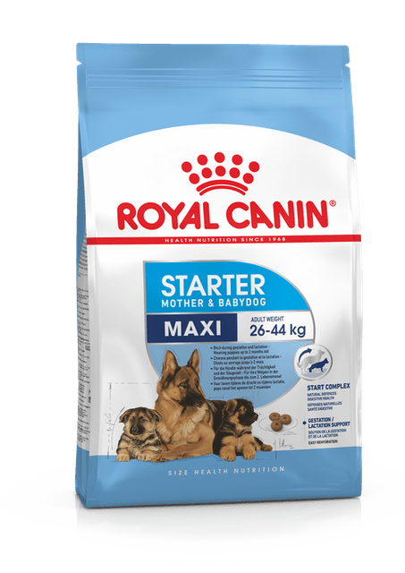 Royal Canin - Maxi Starter (4 kg)