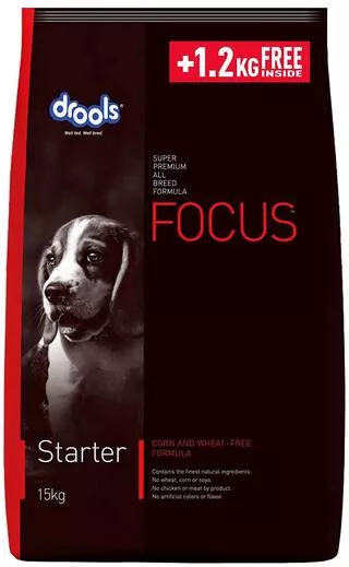 Drools - Focus Starter (15 Kg)
