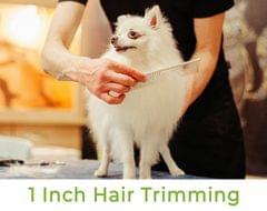 1 Inch Hair Trimming