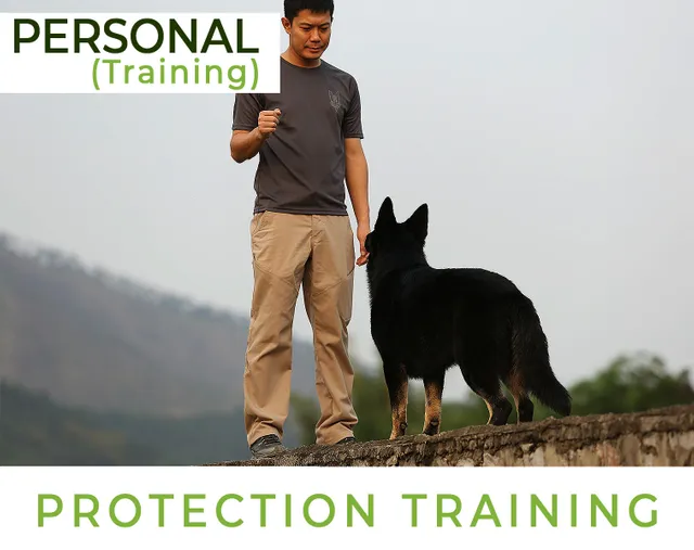 Protection Training - Personal