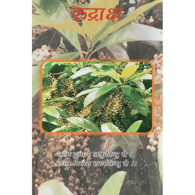 Rudraksha Booklet