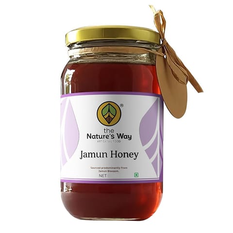 The Nature's Way Jamun Honey