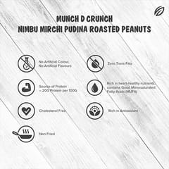 Shrego Nimbu Mirchi Pudina Roasted Peanuts