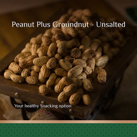 Shrego Plus Roasted Unsalted Groundnut