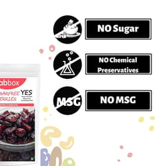 Fabbox Sugarfree Berries Mix