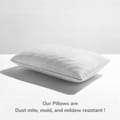 100% Down-Proof Cotton Wave Quilted Pillow 50x75 White