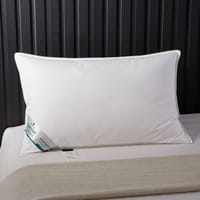 Anti Allergic 1Kg Filling Pillows 50X75 White