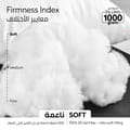Anti Allergic 1Kg Filling Pillows 50X75 White