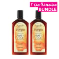 Argan Oil Daily Moisturizing Shampoo 366 ml (2 Pieces)