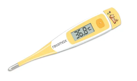 Flexible Thermometer