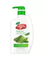 Body Wash Matcha Green Tea & Aloe Vera 500ml