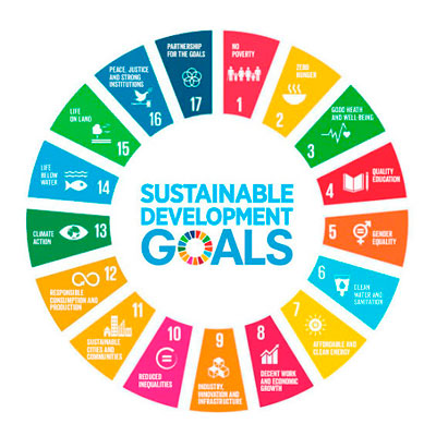 Sustainable development goals wheel